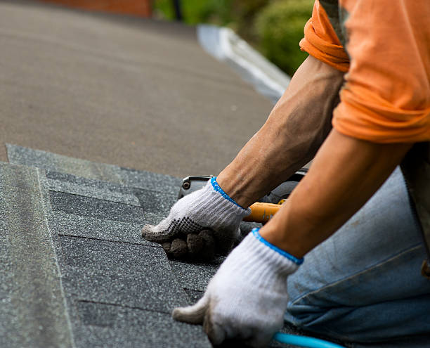 Best Storm Damage Roof Repair  in Wells, MN