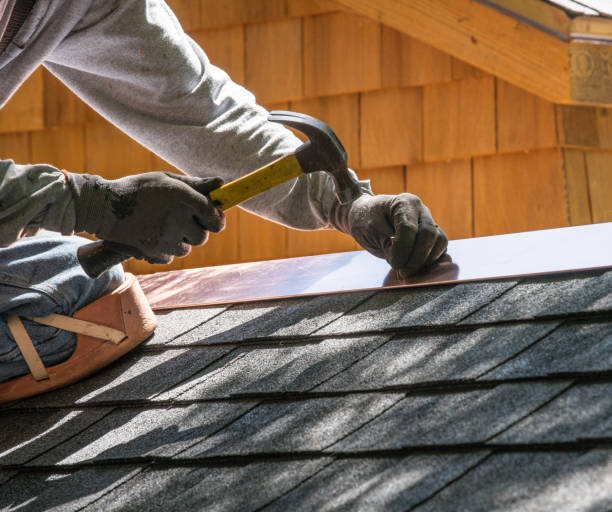 Best Metal Roofing Contractor  in Wells, MN